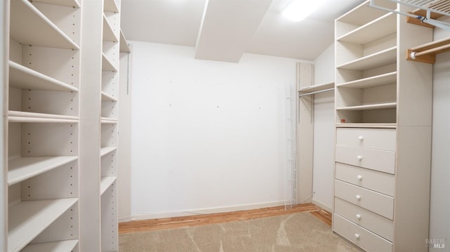 spacious closet with light wood-type flooring