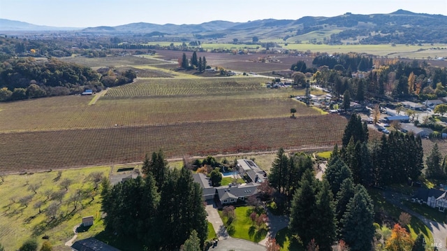 birds eye view of property with a mountain view and a rural view