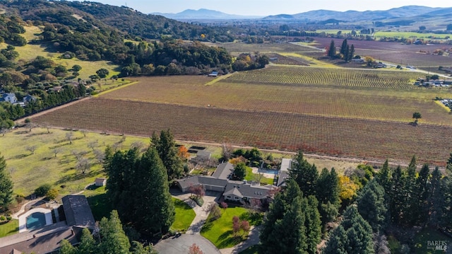 bird's eye view with a mountain view and a rural view