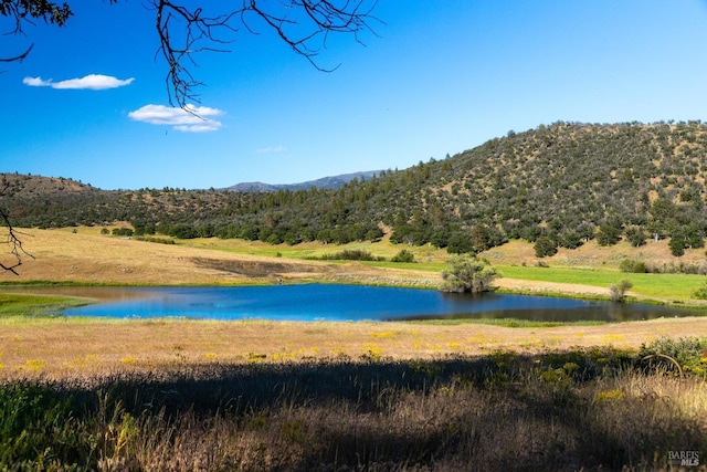 property view of water featuring a mountain view