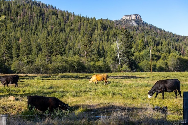 property view of mountains with a rural view