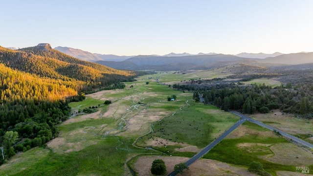 birds eye view of property with a mountain view