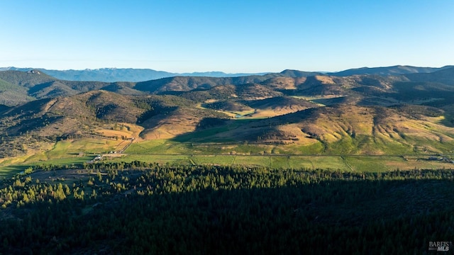 view of mountain feature