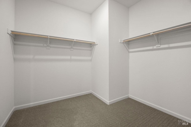 walk in closet featuring dark carpet