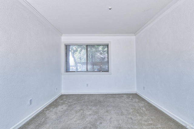 unfurnished room with carpet flooring and crown molding