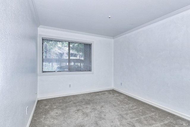 empty room with carpet floors and ornamental molding