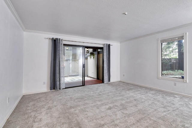 carpeted spare room with a textured ceiling and crown molding