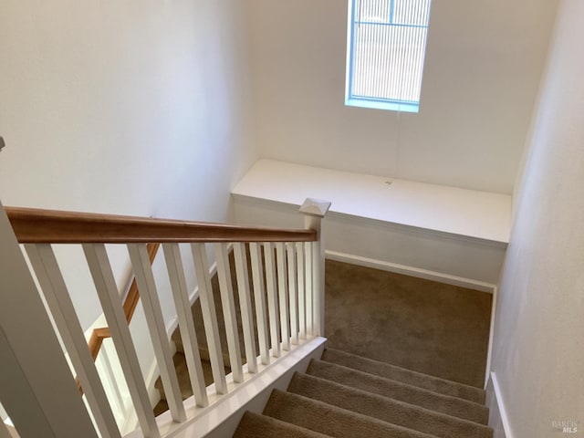 stairway with carpet flooring