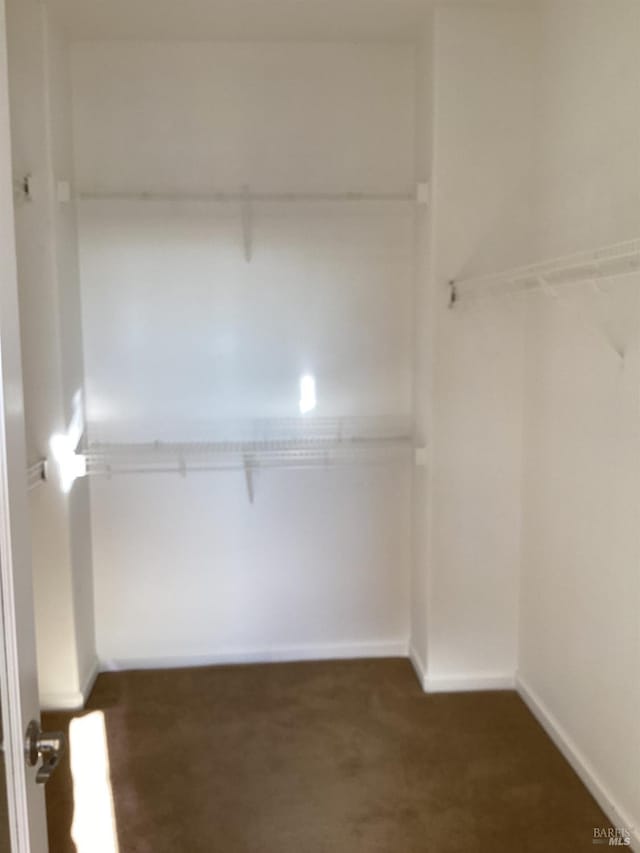 walk in closet with dark carpet