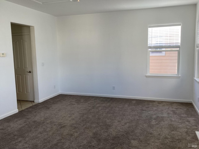 spare room with carpet floors