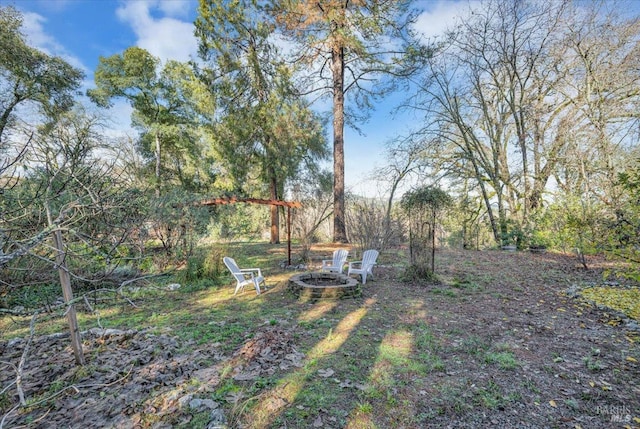 view of yard with an outdoor fire pit