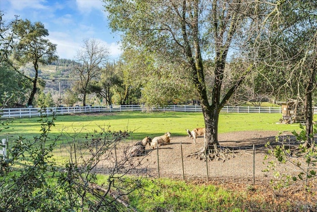 view of yard with a rural view