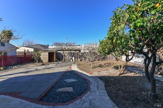 view of yard with a patio