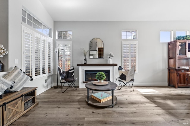 sitting room with hardwood / wood-style floors