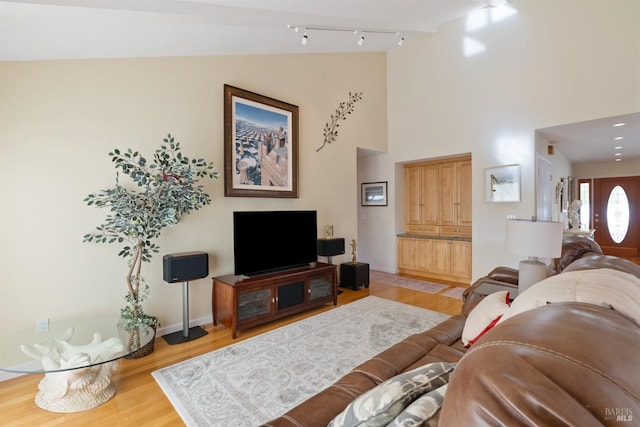 living room featuring hardwood / wood-style flooring and rail lighting