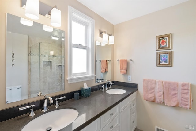 bathroom featuring vanity, a shower with door, and a wealth of natural light