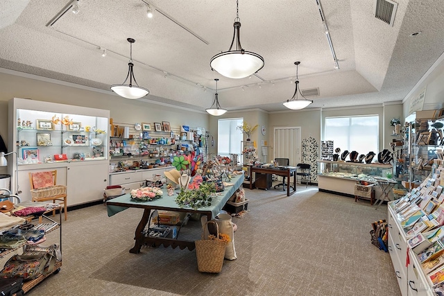 recreation room featuring light carpet, a tray ceiling, a textured ceiling, and ornamental molding