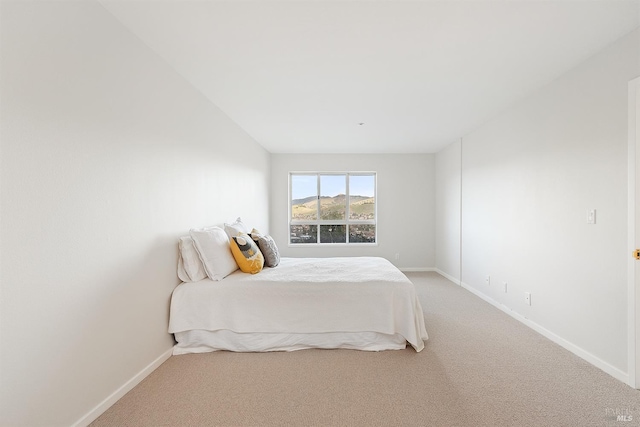 bedroom with carpet flooring