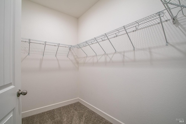 walk in closet featuring carpet