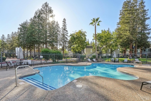 view of swimming pool featuring a patio area