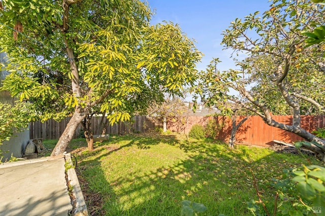 view of yard with a fenced backyard