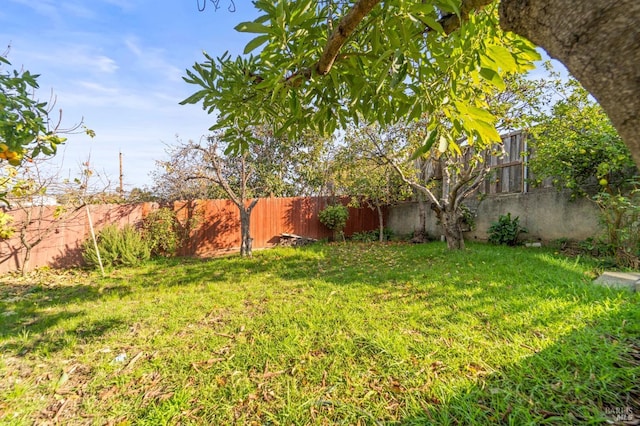 view of yard with a fenced backyard