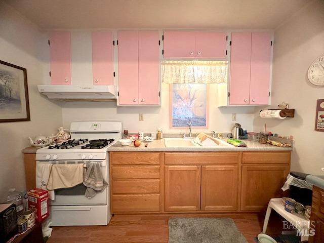 kitchen featuring light hardwood / wood-style floors, sink, and white gas range oven