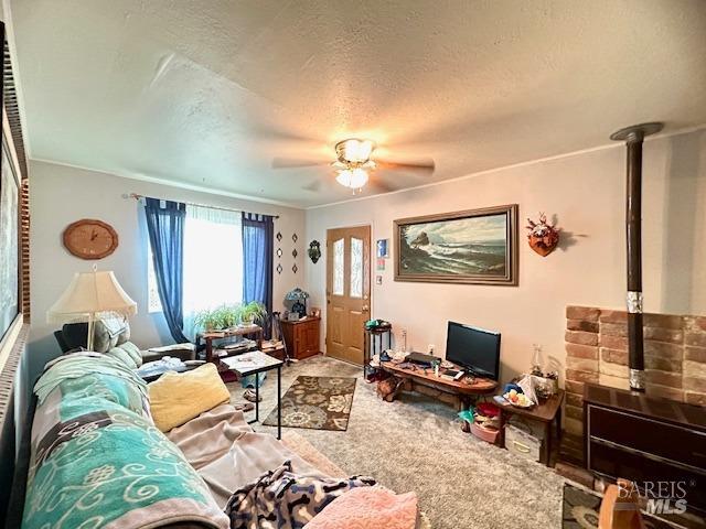 carpeted living room with ceiling fan and a textured ceiling