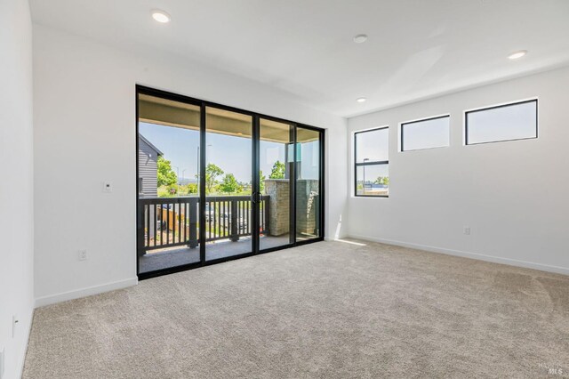empty room featuring carpet floors, baseboards, and a wealth of natural light