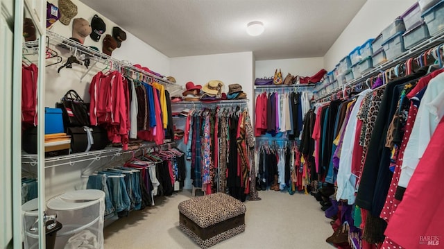 walk in closet with carpet flooring