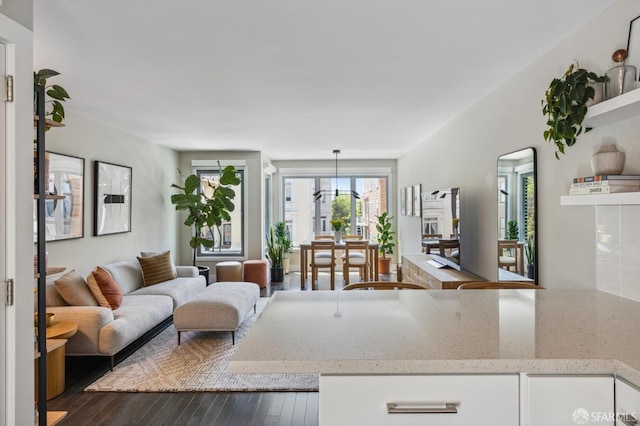 living room featuring dark wood-type flooring