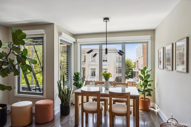 dining room featuring dark wood-type flooring