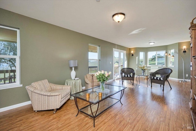 living room featuring light hardwood / wood-style floors