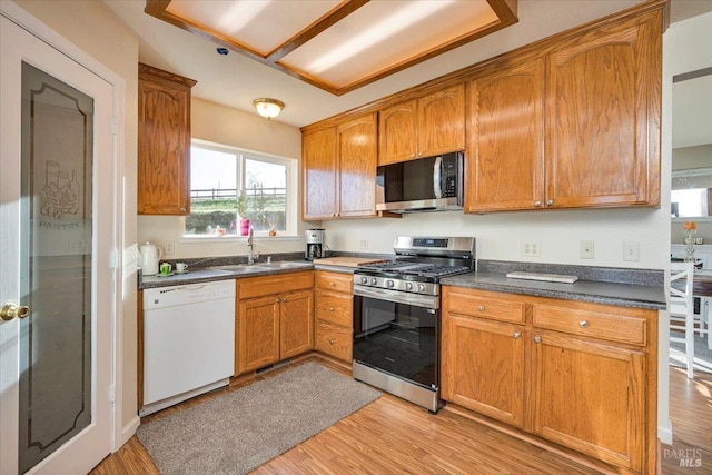 kitchen with sink, light hardwood / wood-style flooring, and appliances with stainless steel finishes