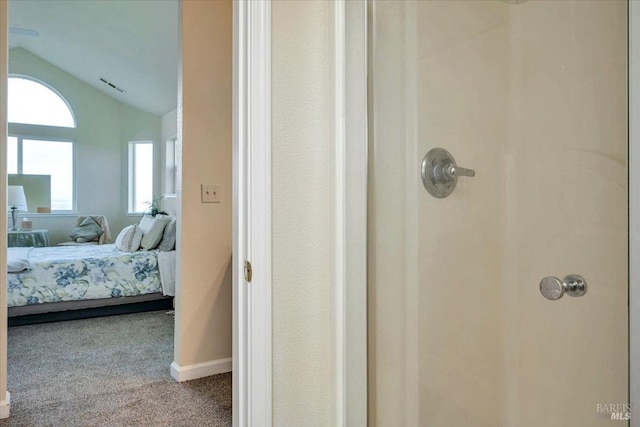 bathroom featuring a shower and lofted ceiling