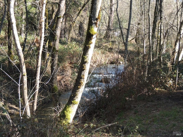 view of nature featuring a water view