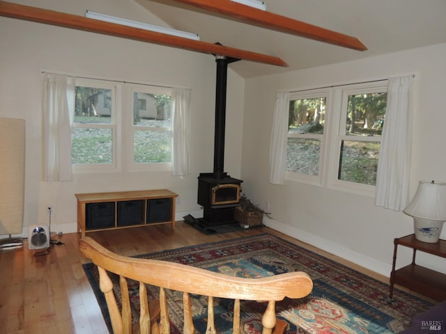 living room with a wood stove, a wealth of natural light, and wood-type flooring