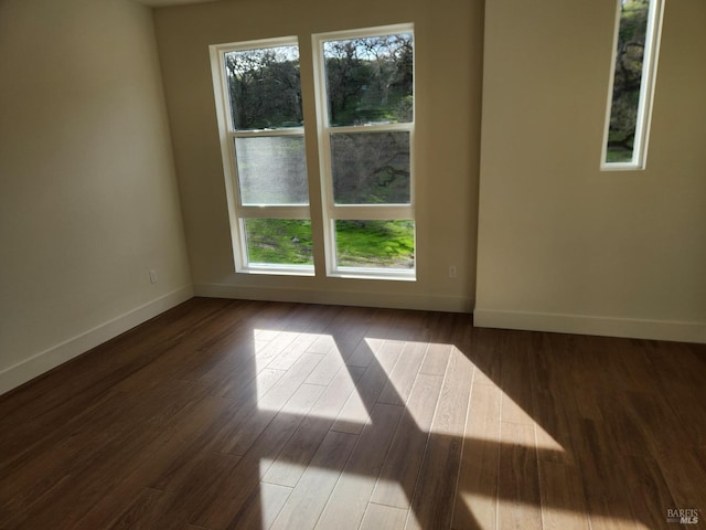 unfurnished room featuring wood-type flooring and a wealth of natural light