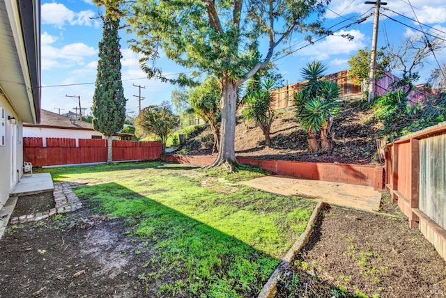 view of yard featuring a patio area