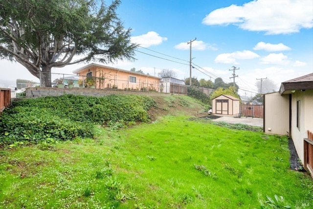 view of yard with a storage shed