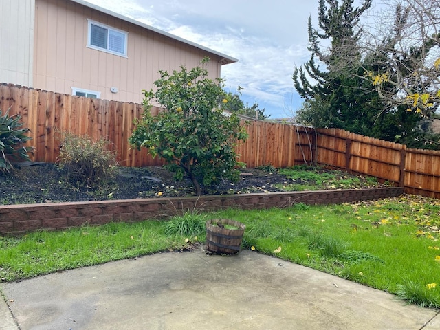 view of yard with a patio area and a fenced backyard