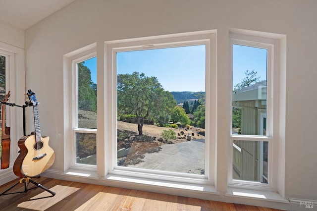 entryway with plenty of natural light and light hardwood / wood-style floors