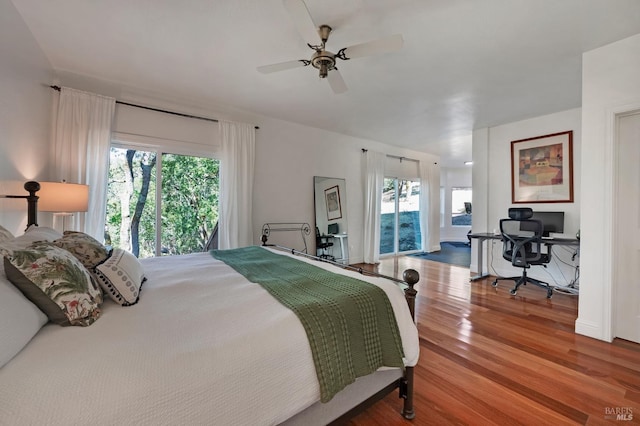 bedroom featuring ceiling fan, wood-type flooring, and multiple windows