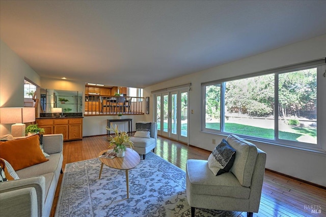 living room featuring light hardwood / wood-style floors