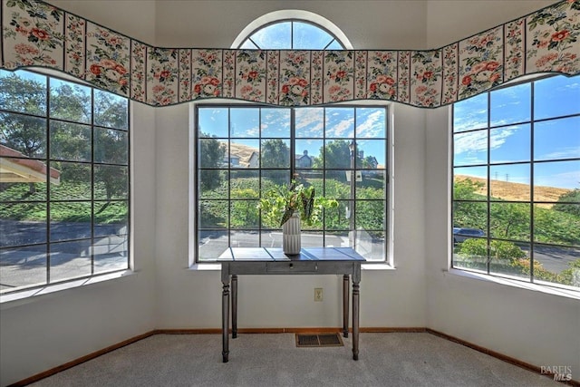 interior space with carpet flooring and a high ceiling