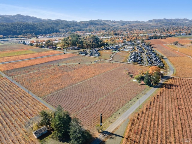 birds eye view of property with a mountain view and a rural view