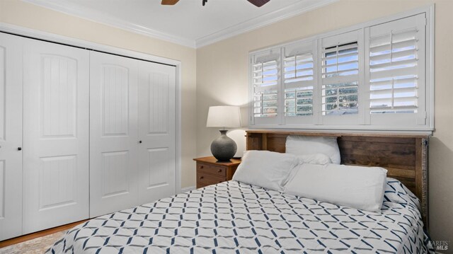 bedroom with ornamental molding, ceiling fan, and a closet