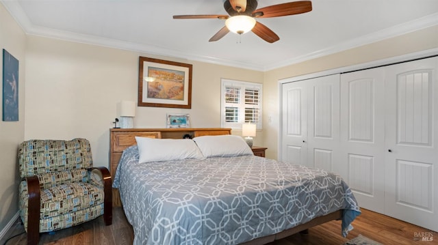 bedroom with dark hardwood / wood-style flooring, crown molding, a closet, and ceiling fan