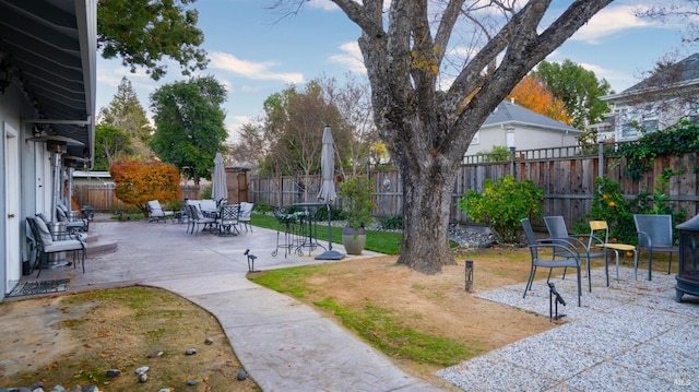 view of yard featuring a patio