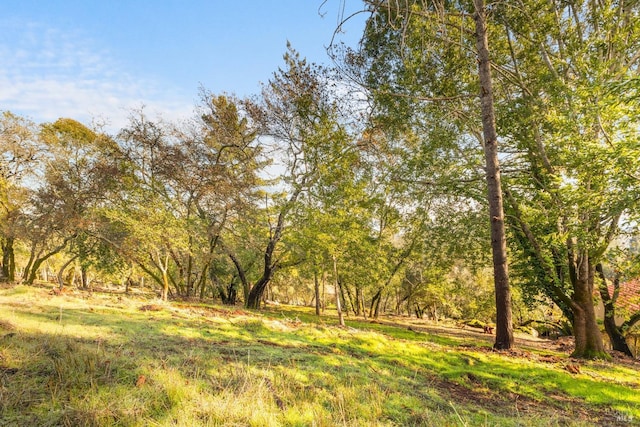 1499 Los Olivos Rd, Santa Rosa CA, 95404 land for sale